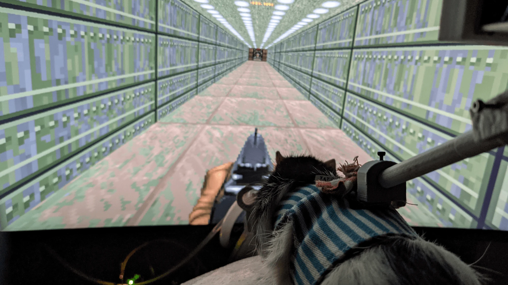 Which virtual reality for gaming?