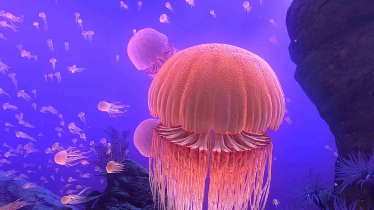 Meditation under water