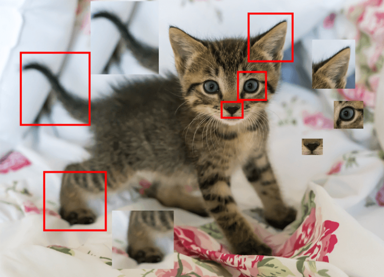 Which is your favorite computer vision algorithm and why?