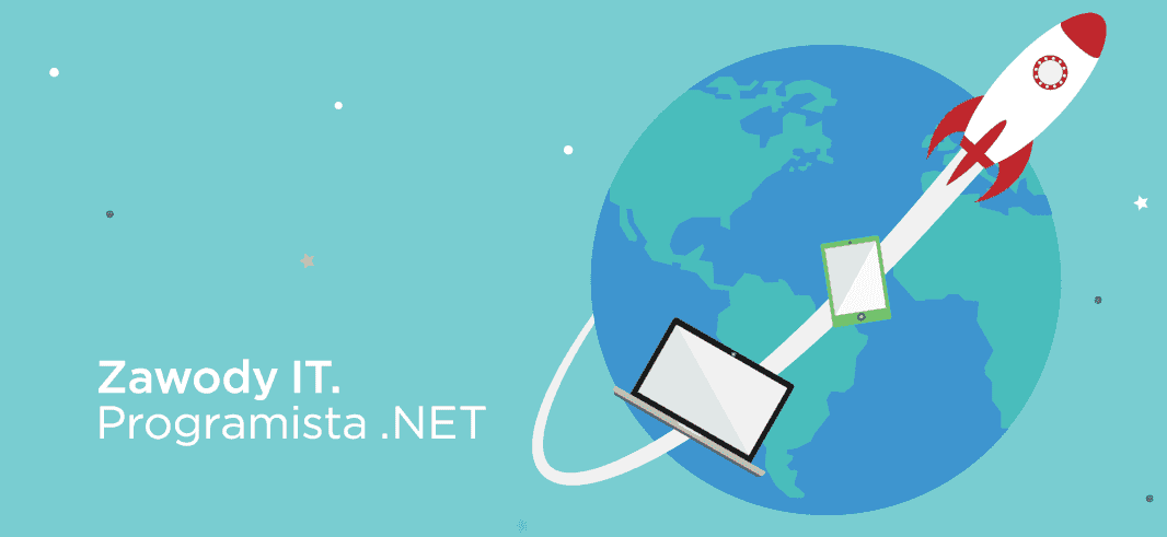 IT professions: .NET programmer
