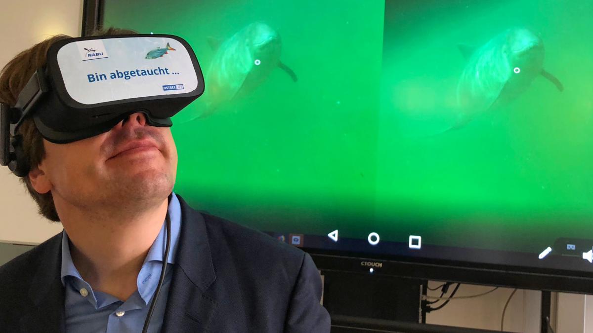 How users experience underwater worlds with VR glasses