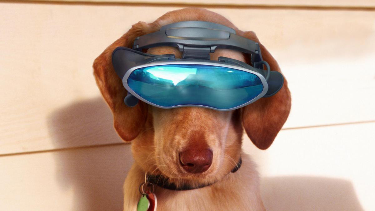 High-tech for four-legged friends: US military tests VR glasses for dogs